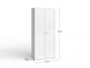 2.06.01.050.4 МАКС шкаф 2 двери 100х61х233 серый RU в Муравленко - muravlenko.ok-mebel.com | фото 4