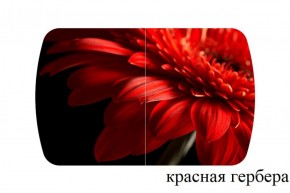 БОСТОН - 2 опоры Триумф в Муравленко - muravlenko.ok-mebel.com | фото 50