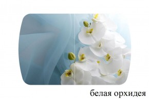 БОСТОН - 2 опоры Триумф в Муравленко - muravlenko.ok-mebel.com | фото 52
