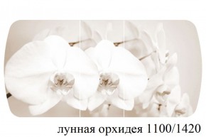 БОСТОН - 3 Стол раздвижной Лунная орхидея 1100/1420 опоры Триумф в Муравленко - muravlenko.ok-mebel.com | фото 3