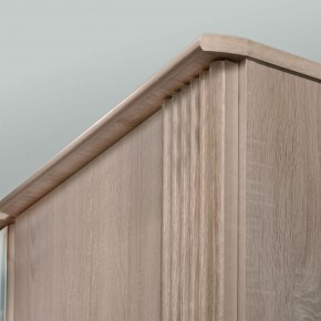 ДИАНА Д11 Шкаф для одежды в Муравленко - muravlenko.ok-mebel.com | фото 6
