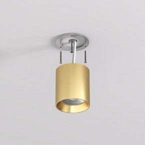 DK2610-SB Накладной светильник SHINE TUBE со светодиодом, D70*H80, IP20, 3000К, 10W, RA?90, сатинированная латунь, алюминий в Муравленко - muravlenko.ok-mebel.com | фото 3