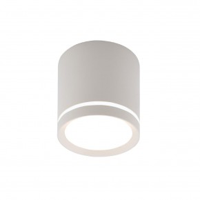 DK4013-WH Светильник накладной IP 20, 5 Вт, LED 4000, белый, алюминий/акрил в Муравленко - muravlenko.ok-mebel.com | фото