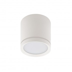 DK4016-WH Светильник накладной IP 20, 5 Вт, LED 3000, белый, алюминий/акрил в Муравленко - muravlenko.ok-mebel.com | фото 2