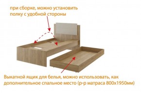 Дуглас (подростковая) М14 Кровать в Муравленко - muravlenko.ok-mebel.com | фото 5