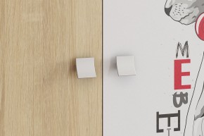 ЭНЕРДЖИ Шкаф 2-створчатый в Муравленко - muravlenko.ok-mebel.com | фото 4