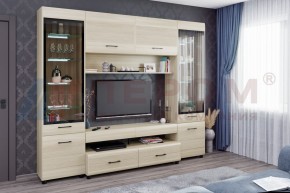 Гостиная Камелия Композиция 11 (Ясень Асахи) в Муравленко - muravlenko.ok-mebel.com | фото