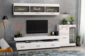 Гостиная Камелия Композиция 12 (Снежный ясень) в Муравленко - muravlenko.ok-mebel.com | фото