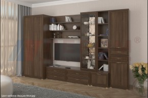 Гостиная Карина Композиция 11 (Акация Молдау) в Муравленко - muravlenko.ok-mebel.com | фото