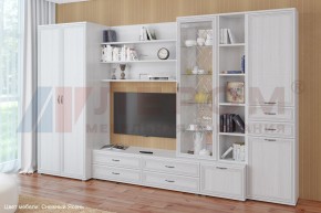 Гостиная Карина Композиция 11 (Снежный ясень) в Муравленко - muravlenko.ok-mebel.com | фото