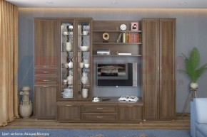 Гостиная Карина Композиция 14 (Акация Молдау) в Муравленко - muravlenko.ok-mebel.com | фото