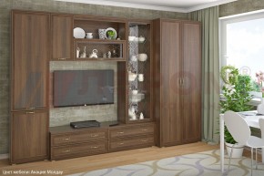 Гостиная Карина Композиция 16 (Акация Молдау) в Муравленко - muravlenko.ok-mebel.com | фото