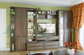 Гостиная Карина Композиция 20 (Акация Молдау) в Муравленко - muravlenko.ok-mebel.com | фото