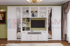 Гостиная Карина Композиция 6 (Снежный ясень) в Муравленко - muravlenko.ok-mebel.com | фото