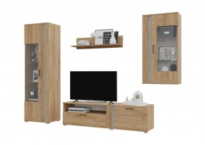 Гостиная Омега (Крафт золотой-Бетон) в Муравленко - muravlenko.ok-mebel.com | фото 2