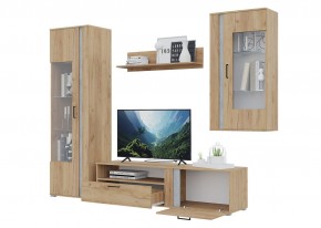 Гостиная Омега (Крафт золотой-Бетон) в Муравленко - muravlenko.ok-mebel.com | фото 4