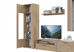 Гостиная Омега (Крафт золотой-Бетон) в Муравленко - muravlenko.ok-mebel.com | фото 5