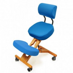 Коленный стул со спинкой Smartstool KW02В + Чехлы в Муравленко - muravlenko.ok-mebel.com | фото 2