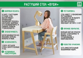 Комплект растущий стол и стул с чехлом 38 попугаев «Вуди» (Серый, Береза, Салют) в Муравленко - muravlenko.ok-mebel.com | фото