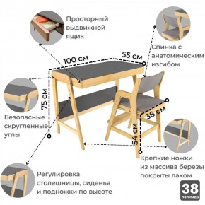 Комплект растущий стол и стул с чехлом 38 попугаев «Вуди» (Серый, Береза, Серый) в Муравленко - muravlenko.ok-mebel.com | фото