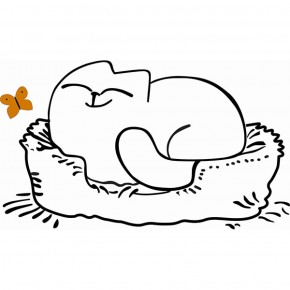 Кровать двухуровневая Кот № 900.1 ЛЕВАЯ (туя светлая/белый) в Муравленко - muravlenko.ok-mebel.com | фото 2