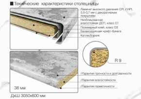 Кухонный фартук со столешницей (А-01) в едином стиле (3050 мм) в Муравленко - muravlenko.ok-mebel.com | фото 6