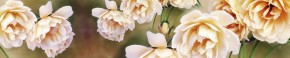 Кухонный фартук Цветы 066 МДФ матовый (3000) Flowers в Муравленко - muravlenko.ok-mebel.com | фото 1