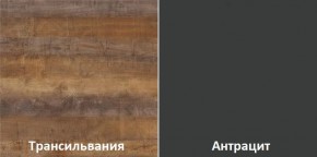 Кухонный гарнитур угловой Трансильвания 2600х1600 мм (Стол. 38 мм) в Муравленко - muravlenko.ok-mebel.com | фото 3