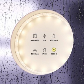 Лента светодиодная Maytoni Led strip 10105 в Муравленко - muravlenko.ok-mebel.com | фото 2