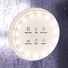 Лента светодиодная Maytoni Led strip 10106 в Муравленко - muravlenko.ok-mebel.com | фото 3