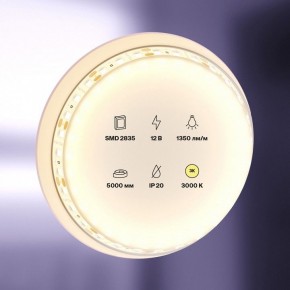 Лента светодиодная Maytoni Led strip 10114 в Муравленко - muravlenko.ok-mebel.com | фото 2