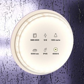 Лента светодиодная Maytoni Led strip 10118 в Муравленко - muravlenko.ok-mebel.com | фото 2
