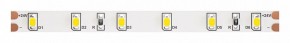 Лента светодиодная Maytoni Led strip 10138 в Муравленко - muravlenko.ok-mebel.com | фото