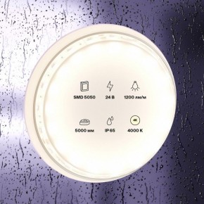 Лента светодиодная Maytoni Led strip 10172 в Муравленко - muravlenko.ok-mebel.com | фото 2