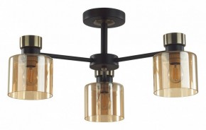 Люстра на штанге Lumion ARLIN 5643/3C в Муравленко - muravlenko.ok-mebel.com | фото