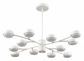 Люстра на штанге Lumion TORINA 8265/12 в Муравленко - muravlenko.ok-mebel.com | фото