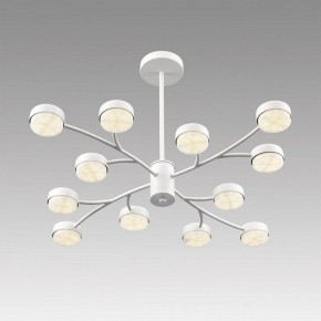Люстра на штанге Lumion TORINA 8265/12 в Муравленко - muravlenko.ok-mebel.com | фото 5
