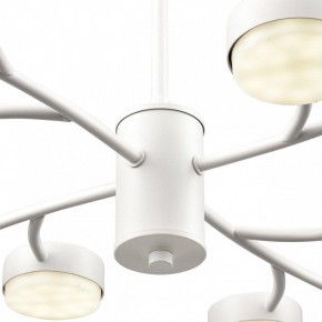 Люстра на штанге Lumion TORINA 8265/12 в Муравленко - muravlenko.ok-mebel.com | фото 8