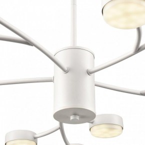 Люстра на штанге Lumion TORINA 8265/15 в Муравленко - muravlenko.ok-mebel.com | фото 8