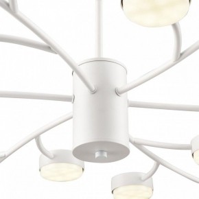 Люстра на штанге Lumion TORINA 8265/18 в Муравленко - muravlenko.ok-mebel.com | фото 8