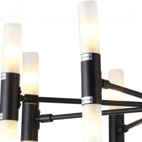 Люстра на штанге TopLight Jemimah TL1216D-08BL в Муравленко - muravlenko.ok-mebel.com | фото 2