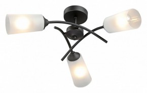 Люстра на штанге Vitaluce V2850 V2850-1/3PL в Муравленко - muravlenko.ok-mebel.com | фото 2