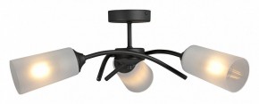 Люстра на штанге Vitaluce V2850 V2850-1/3PL в Муравленко - muravlenko.ok-mebel.com | фото 3
