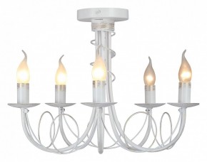 Люстра на штанге Vitaluce V3035 V3035-0/5PL в Муравленко - muravlenko.ok-mebel.com | фото 2