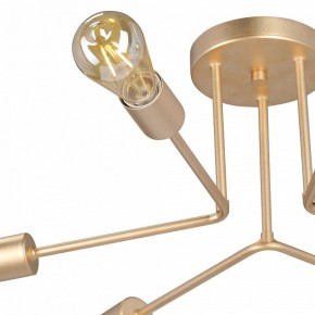 Люстра на штанге Vitaluce V3071 V3071-8/6PL в Муравленко - muravlenko.ok-mebel.com | фото 6