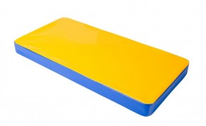 Мат гимнастический 1х0,5х0,08м цв. синий-желтый в Муравленко - muravlenko.ok-mebel.com | фото 1