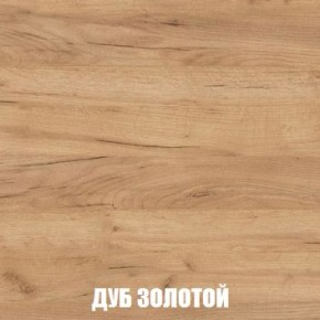 МСП-1 Шкаф 2-х створчатый (Дуб Золотой/Камень темный) в Муравленко - muravlenko.ok-mebel.com | фото 4