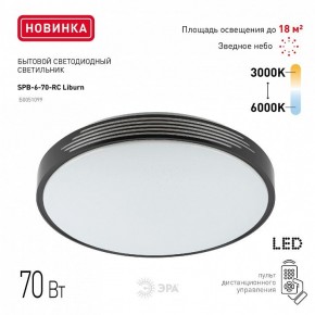 Накладной светильник Эра Классик SPB-6-70-RC Liburn в Муравленко - muravlenko.ok-mebel.com | фото 10