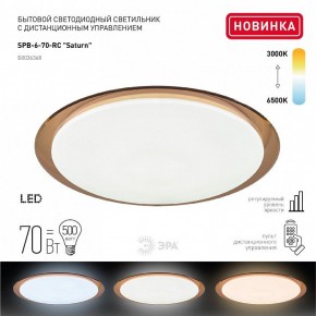 Накладной светильник Эра Классик SPB-6-70-RC Saturn (B) в Муравленко - muravlenko.ok-mebel.com | фото 2
