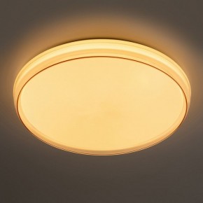 Накладной светильник Эра  SPB-6-80-RC Solar RGBD в Муравленко - muravlenko.ok-mebel.com | фото 2